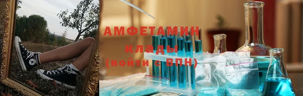 индика Бородино