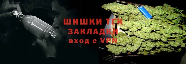 гидра Верея