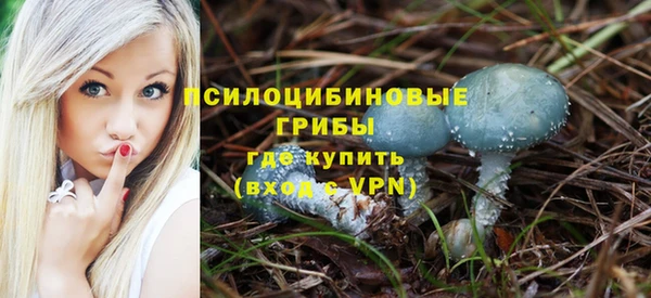 винт Верхний Тагил