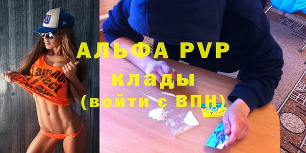 гидра Верея