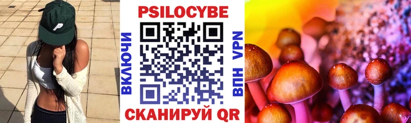 Галлюциногенные грибы ЛСД  Новосокольники 