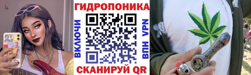 Шишки марихуана сатива Новосокольники